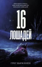 16 �������