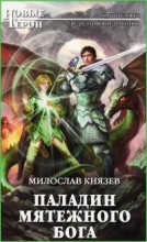 Паладин мятежного бога